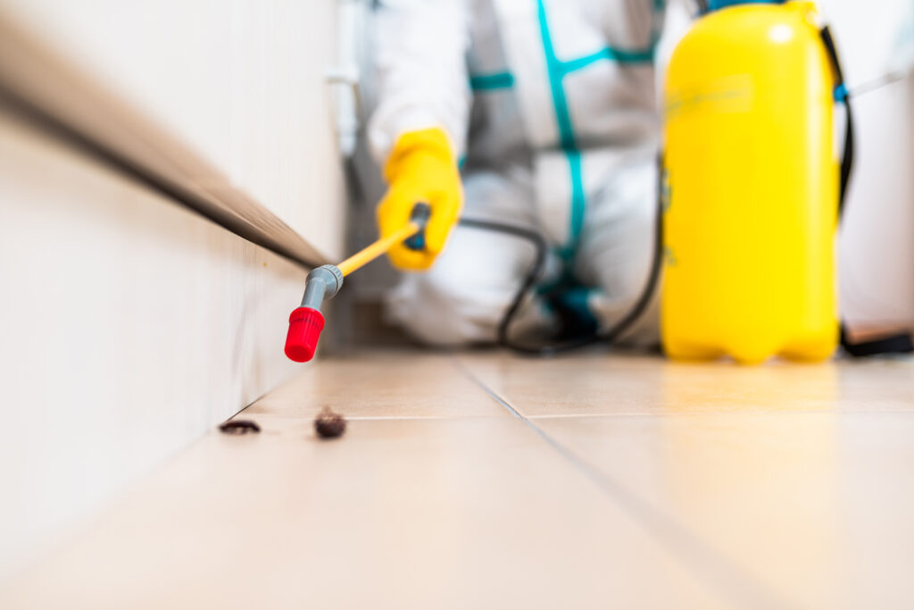 Martindale Cockroach Experts