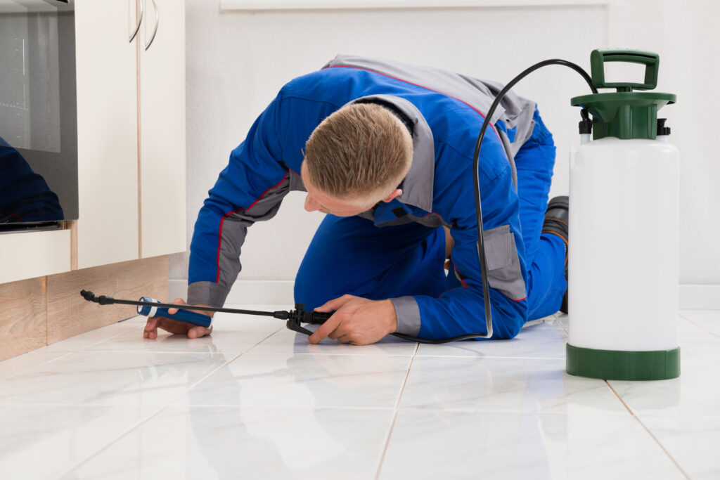 Martindale Ant Control Xperts