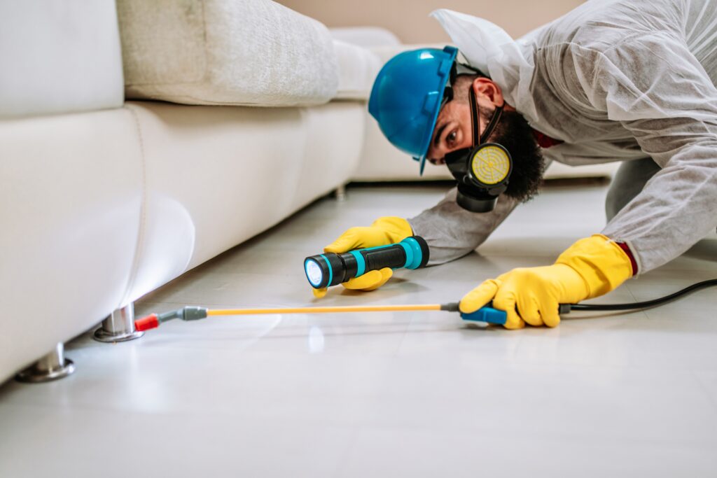 Lockhart Termite Control