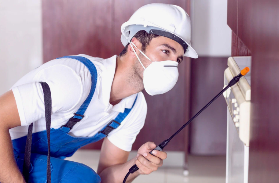 San Marcos local pest services