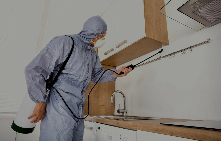 San Marcos pest managment